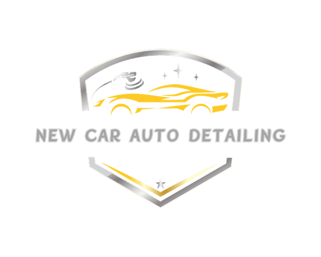 New Car Auto Detailing